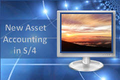 Functional Overview of New Asset Accounting in S/4HANA