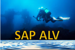ALV Programming Deep Dive