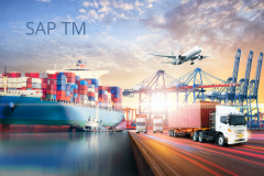 Learn SAP Transportation Management (TM) in S/4HANA