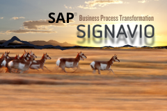 SAP Signavio for Business Process Transformation