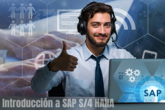  Introducción a SAP S/4HANA