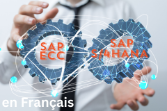 Comprendre la Différence entre SAP ECC et SAP S/4HANA